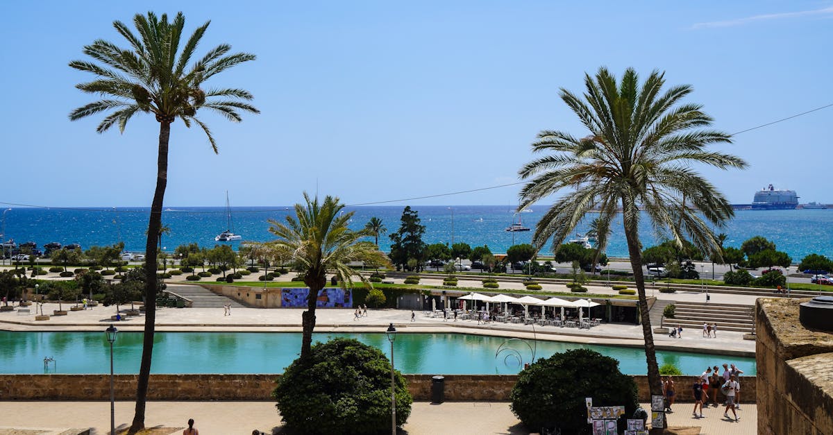 Best Practices for Year-Round Deck Preservation