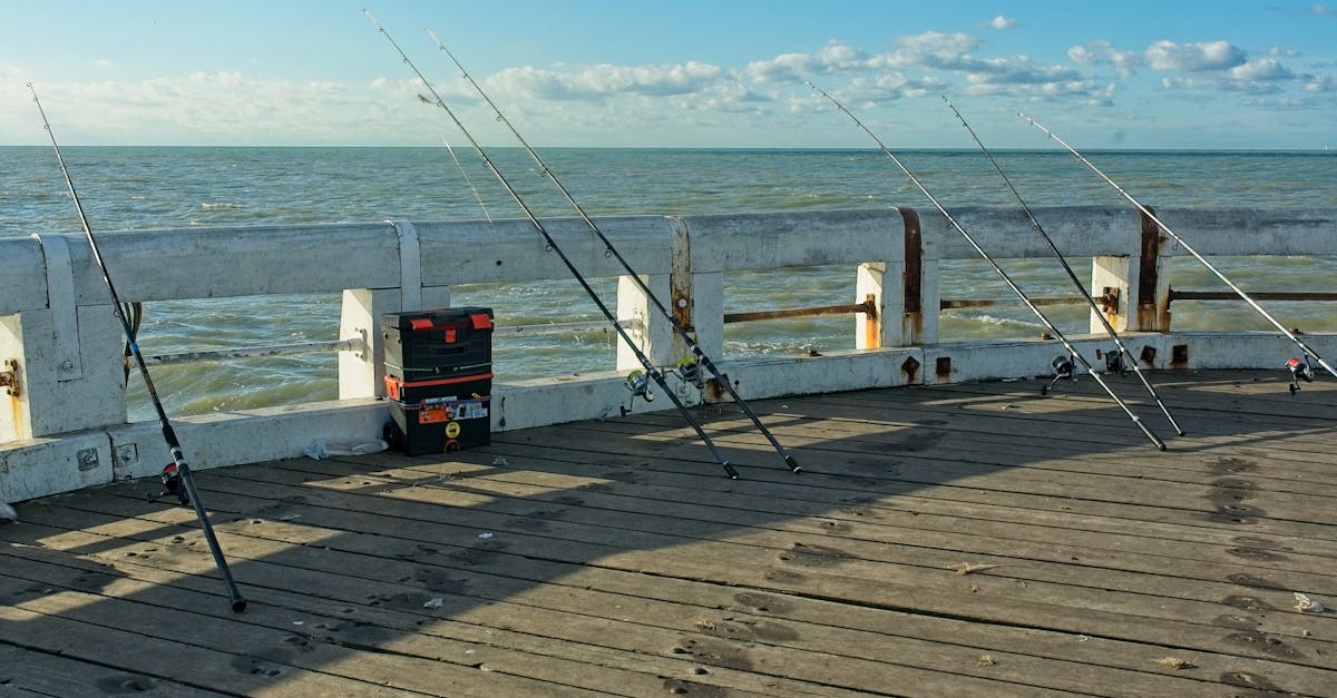 Common Misconceptions About Composite Decking Explained