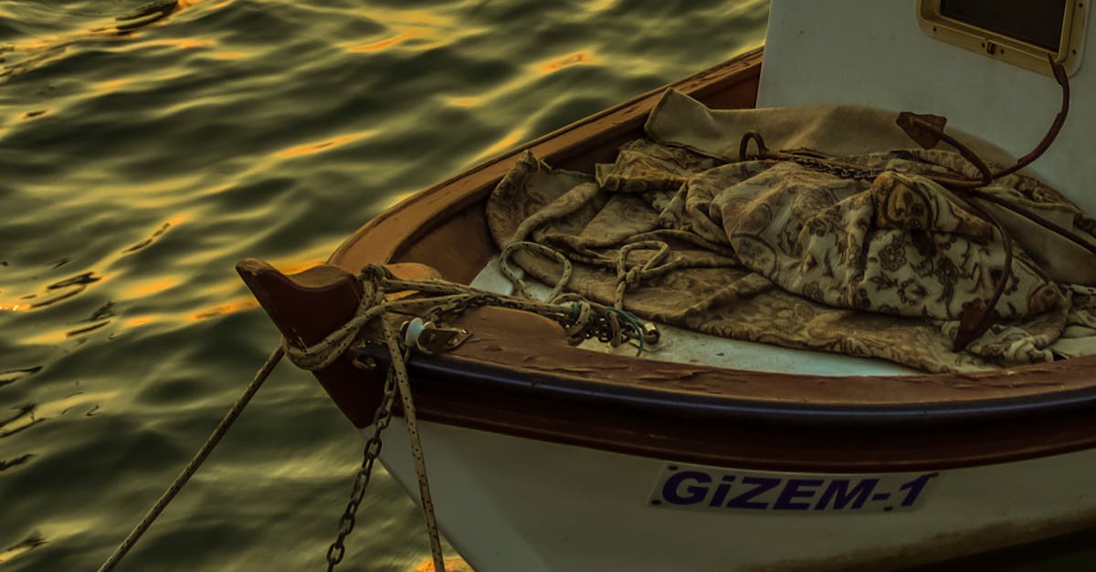 Essential Spring Deck Care Tips for Sunshine Coast Homeowners