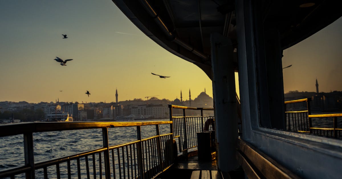 How to Choose Eco-Friendly Deck Stains for Environmental Benefits