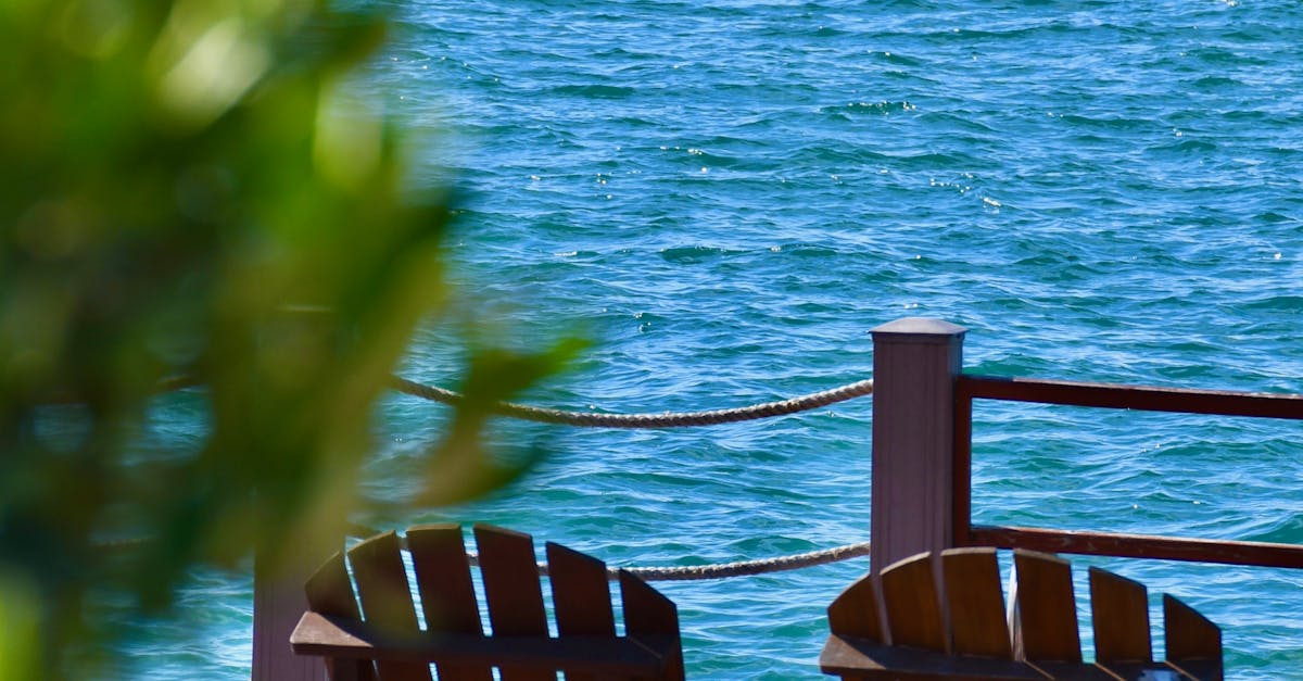 Identifying the Right Colour to Enhance Your Deck's Natural Beauty