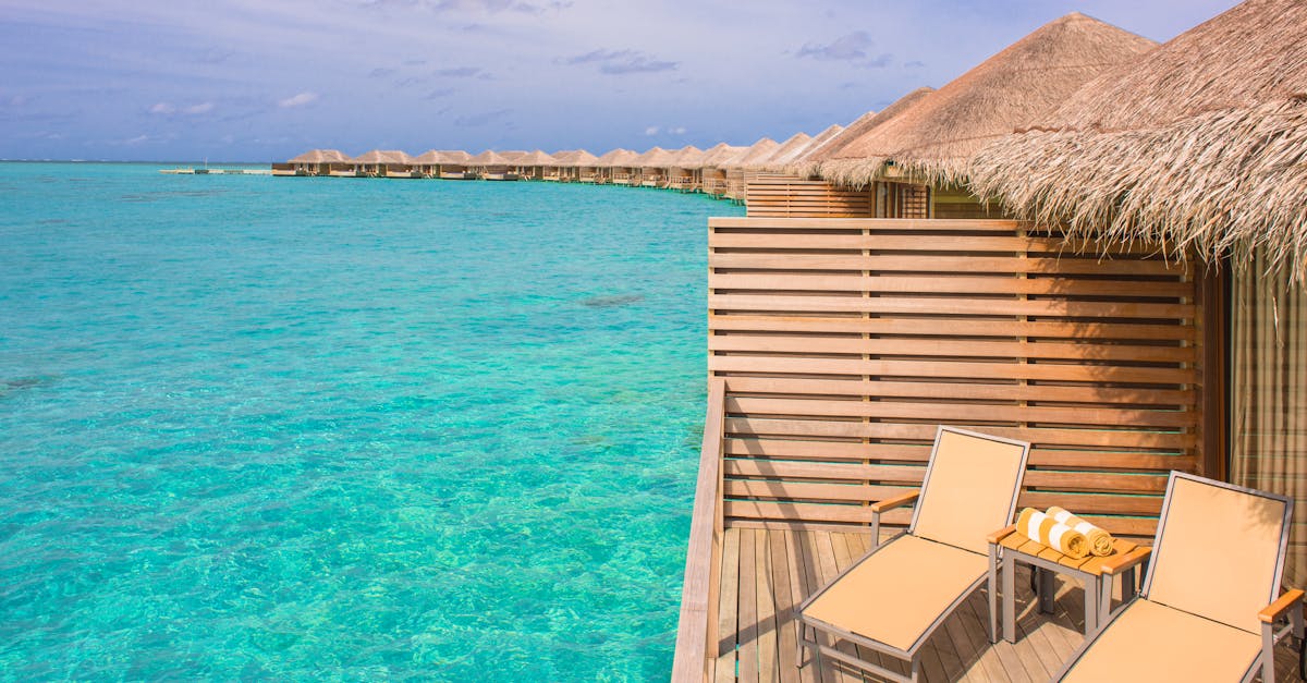 Importance of Timely Inspections for Seasonal Deck Care