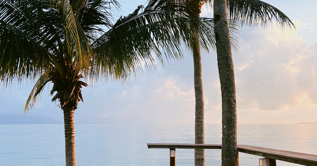 Post-Build Safety Inspections for Decks