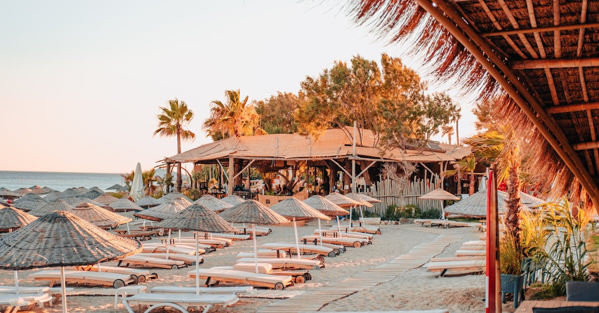 Routine Cleaning Schedules for Long-Lasting Decks