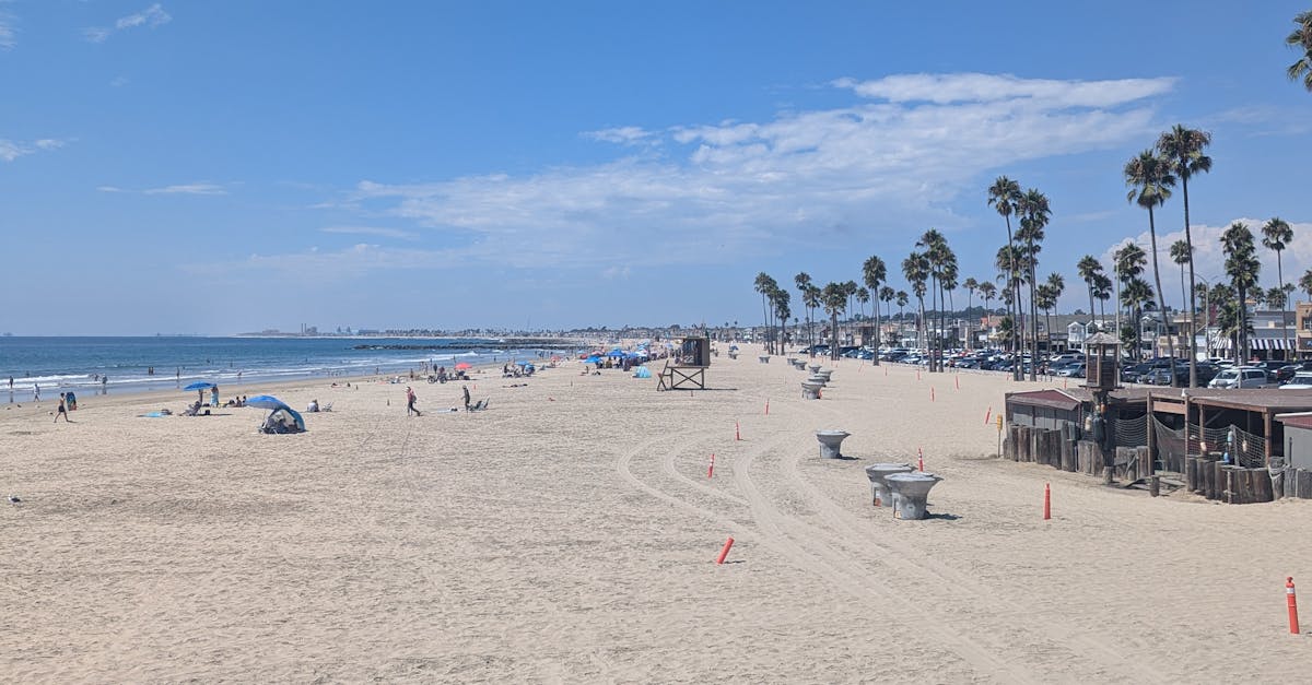 The Best Stains for Hardwood Decks in the Sunshine Coast Climate