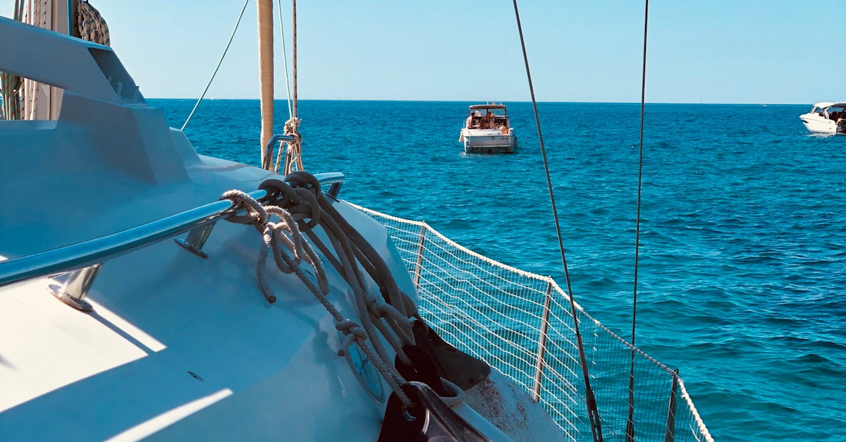 The Importance of Regular Deck Inspections While Cleaning