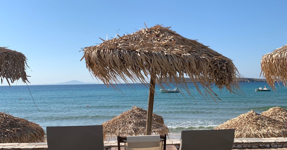 Timing Your Deck Sealing and Staining for Optimal Results