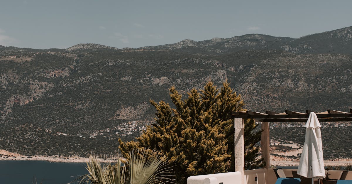 Top Tips for Applying Stain Evenly on Your Deck Surface